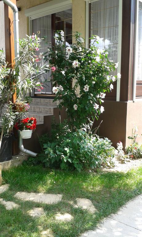 Holiday Apartmanhaz Zalakaros Eksteriør bilde
